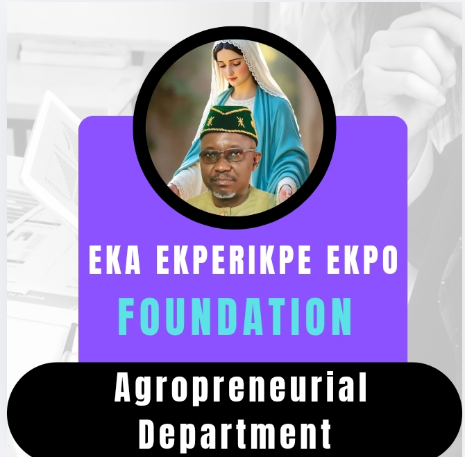 screenshot 20260210 193720